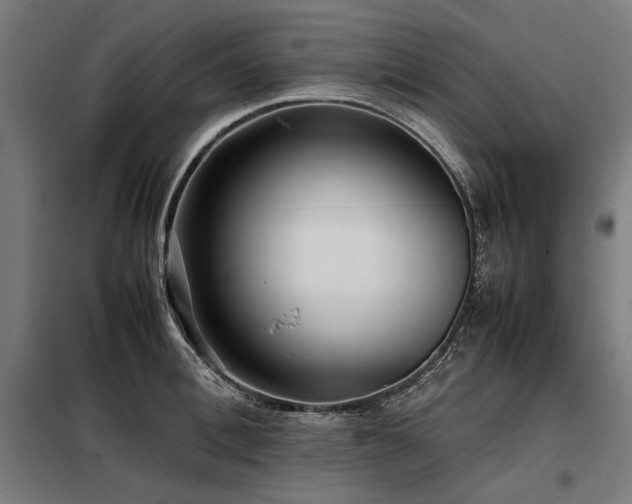 X0000098100996200804041239