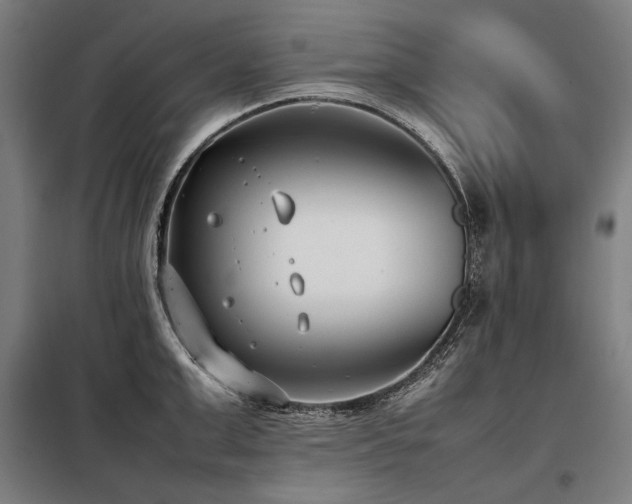 X0000098100999200804041239