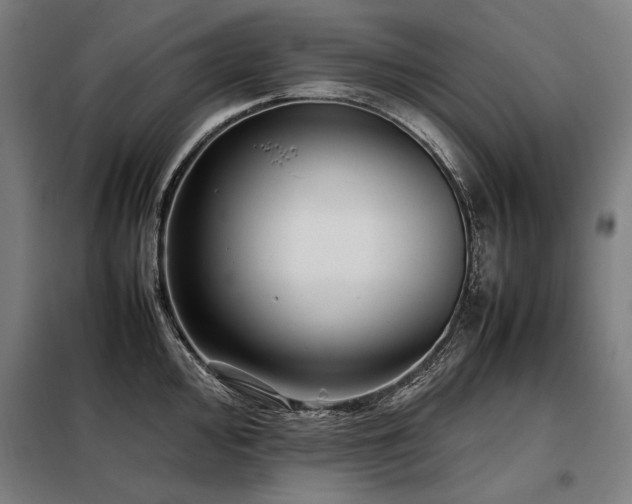 X0000098101000200804041239
