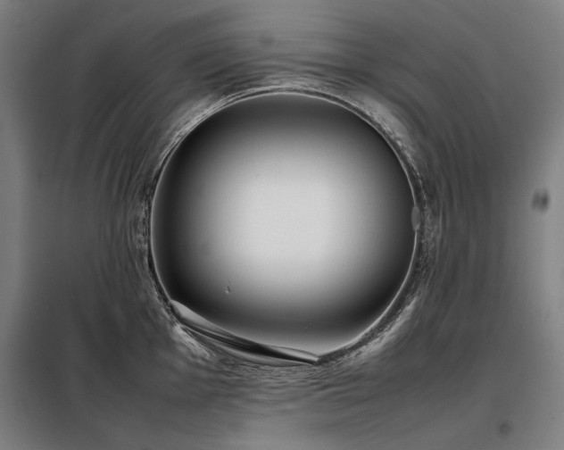X0000098101001200804041239