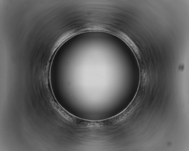 X0000098101002200804041239