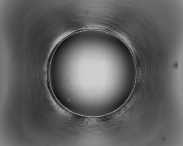 X0000098101003200804041239