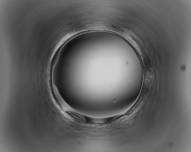 X0000098101005200804041239