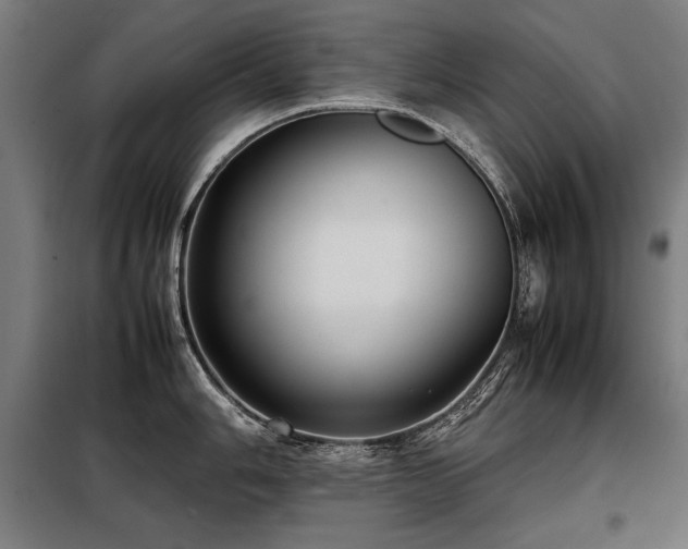 X0000098101006200804041239