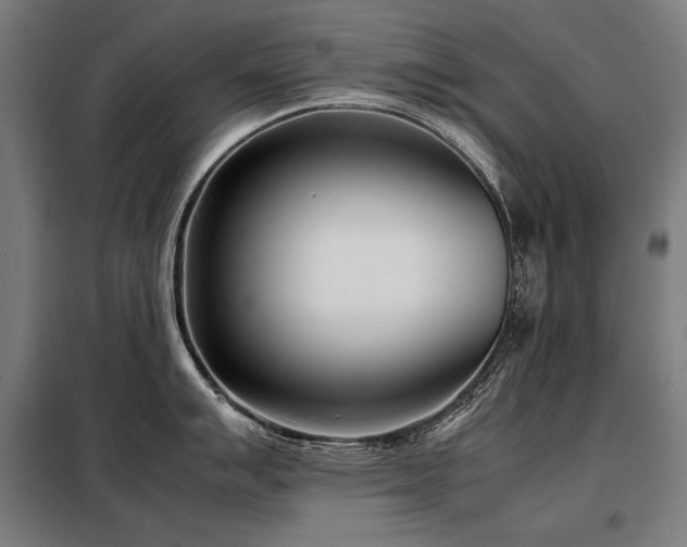 X0000098101007200804041239