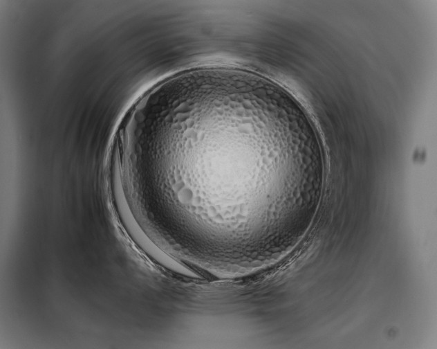X0000098101008200804041239