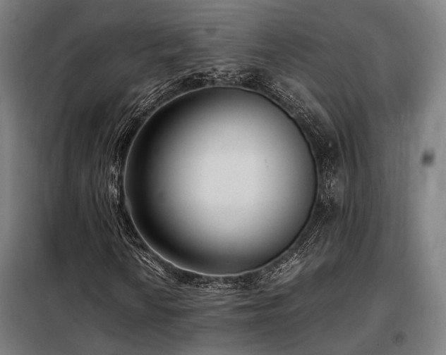 X0000098101010200804041239