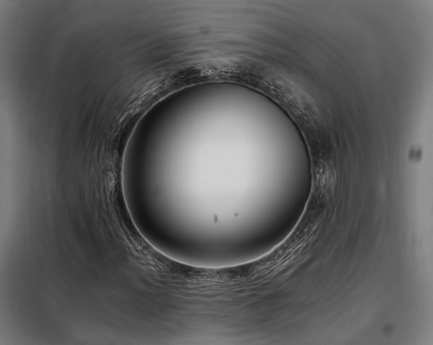 X0000098101012200804041239