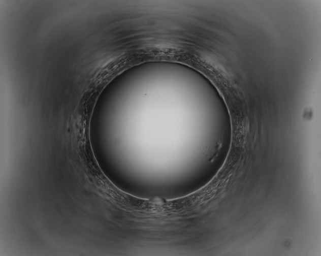 X0000098101013200804041239