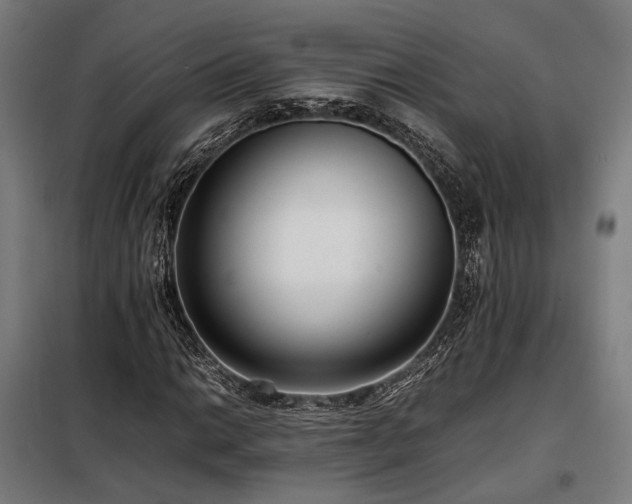 X0000098101014200804041239