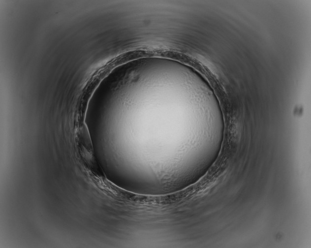 X0000098101016200804041239