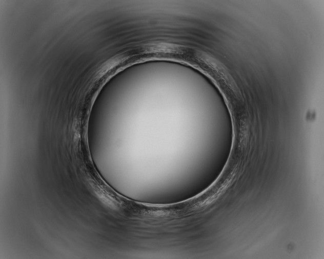 X0000098101017200804041239