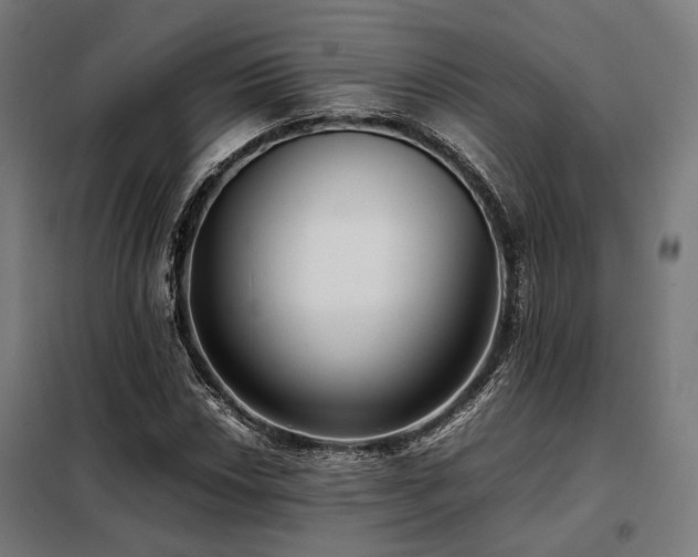 X0000098101018200804041239