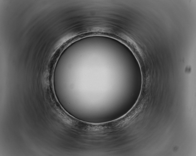 X0000098101019200804041239