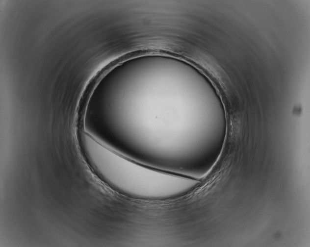 X0000098101020200804041239
