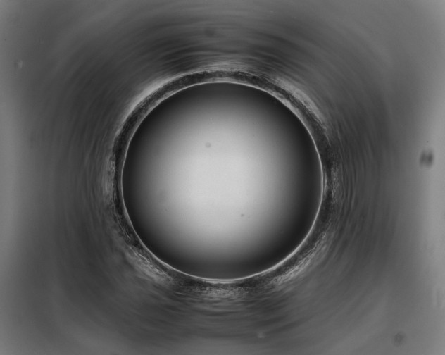 X0000098101021200804041239