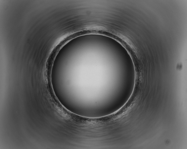 X0000098101022200804041239