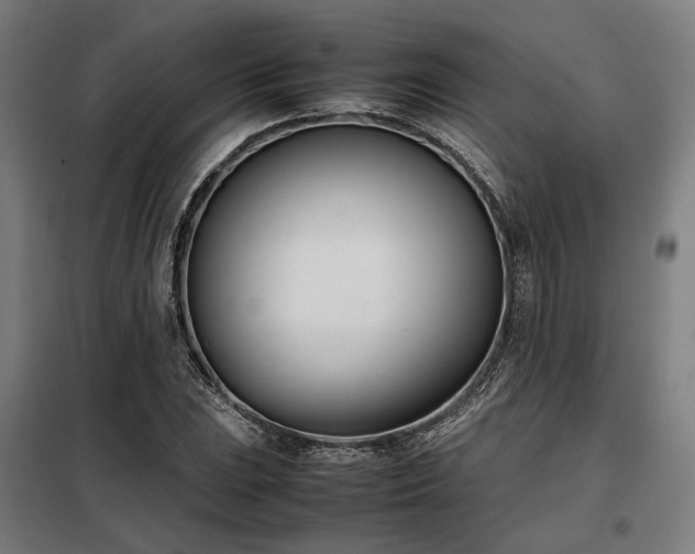 X0000098101023200804041239