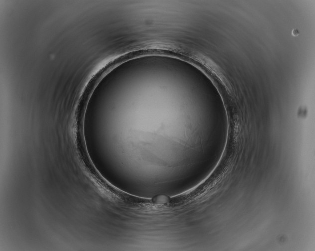 X0000098101024200804041239