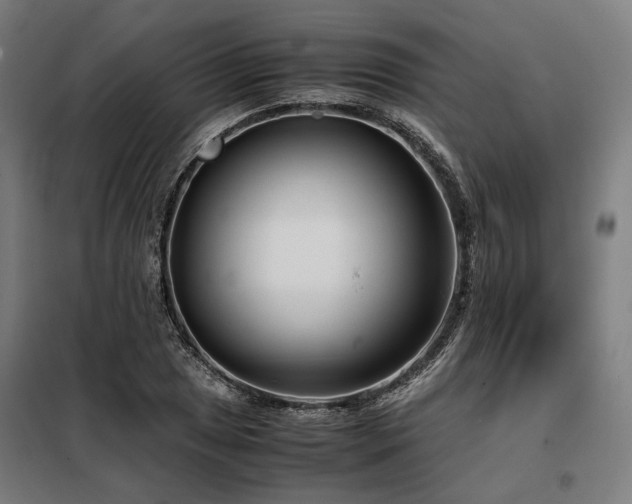 X0000098101025200804041239