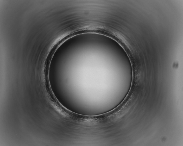 X0000098101026200804041239