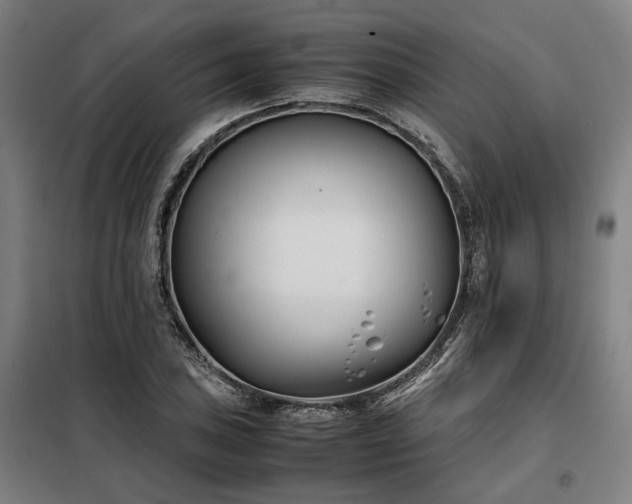 X0000098101027200804041239