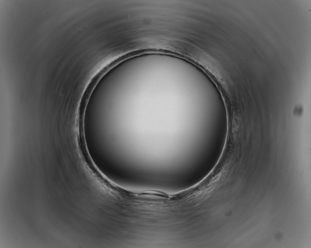 X0000098101028200804041239