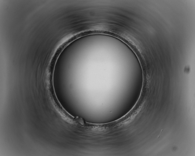 X0000098101029200804041239