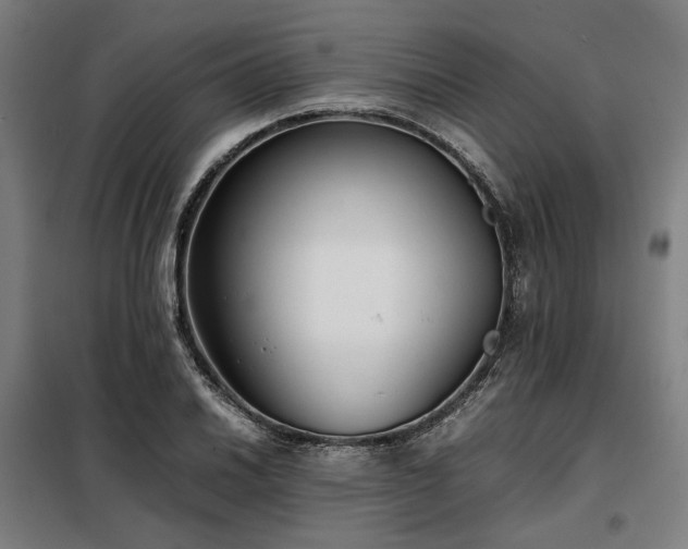 X0000098101030200804041239