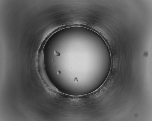 X0000098101031200804041239