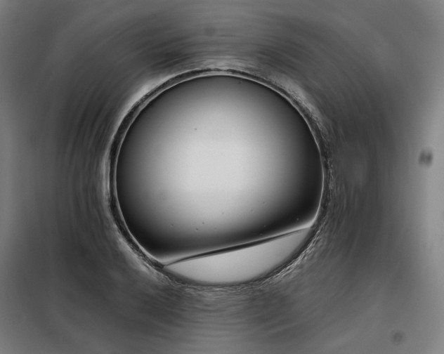 X0000098101032200804041239