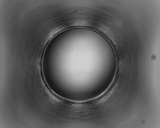 X0000098101033200804041239