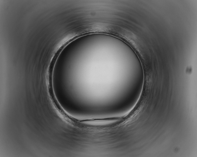 X0000098101034200804041239