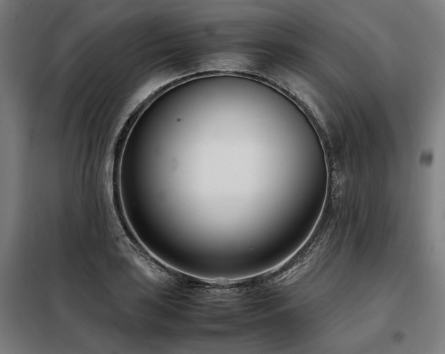 X0000098101035200804041239