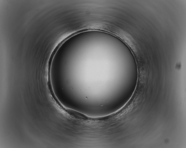 X0000098101036200804041239