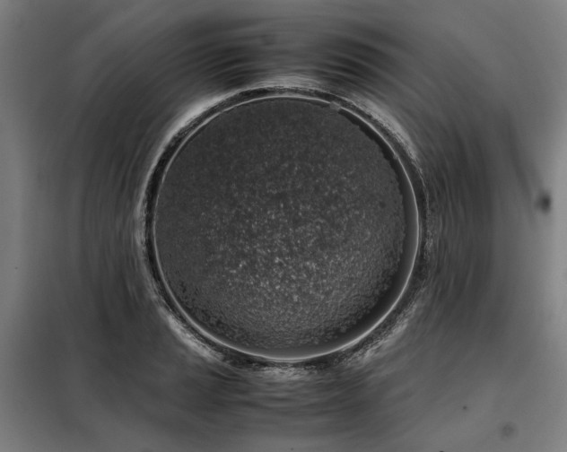 X0000098101037200804041239