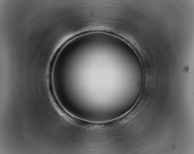 X0000098101038200804041239