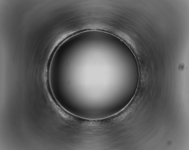 X0000098101040200804041239