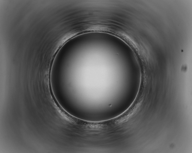 X0000098101041200804041239