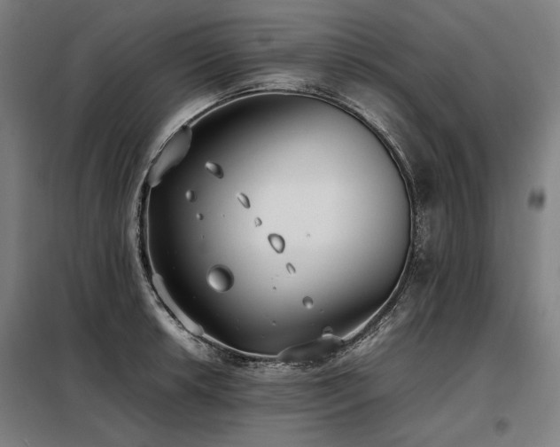 X0000098101042200804041239