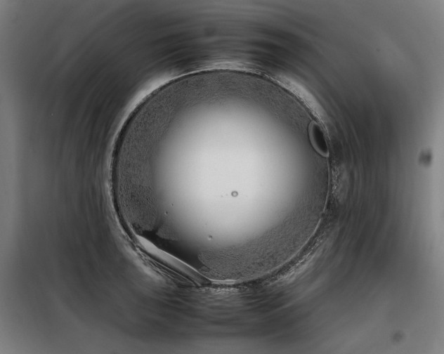 X0000098101043200804041239