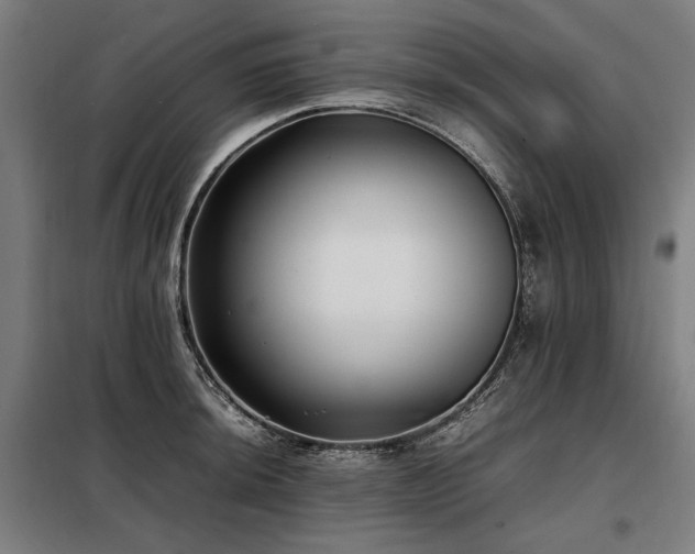 X0000098101044200804041239