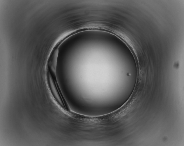 X0000098101045200804041239