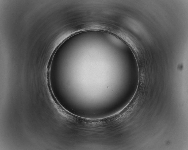 X0000098101047200804041239