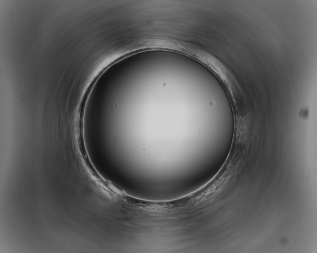 X0000098101048200804041239
