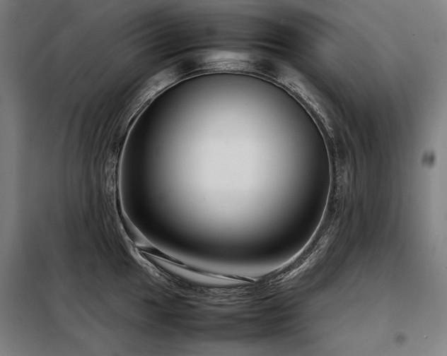 X0000098101049200804041239