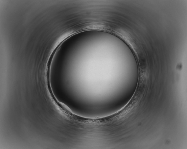 X0000098101050200804041239