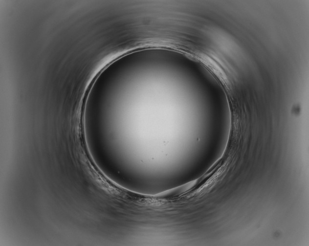 X0000098101052200804041239