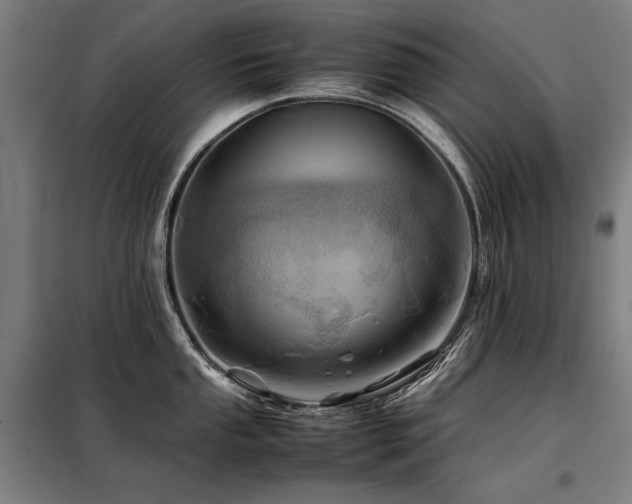 X0000098101053200804041239