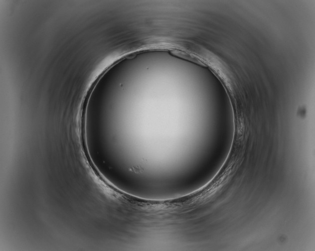 X0000098101054200804041239